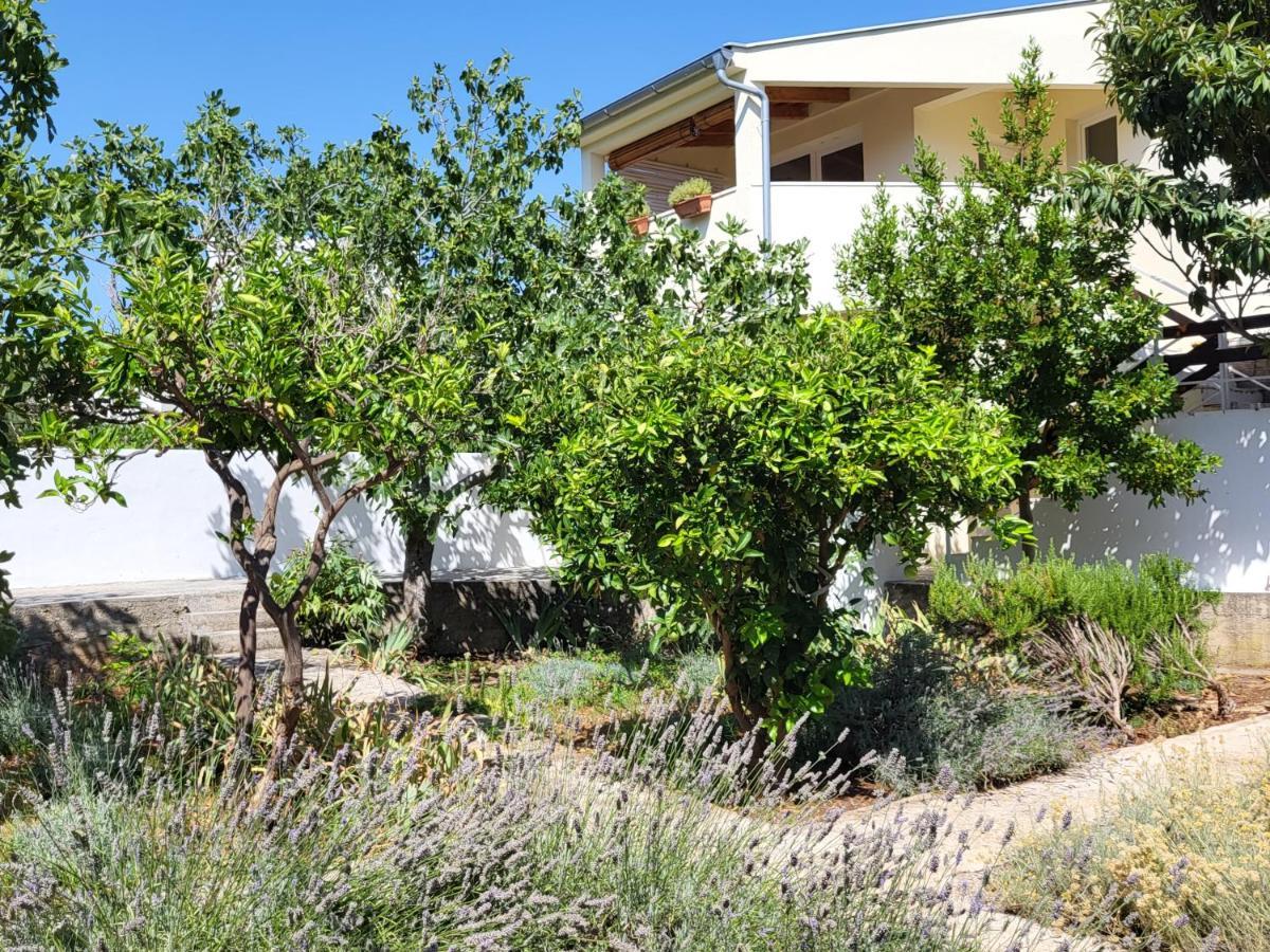 Lavender Garden House Villa Rogoznica  Ngoại thất bức ảnh